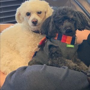 Meet your Posher, Linda